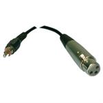 RCA/M-3 PIN XLR/F-6'