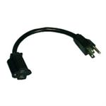 EXT. CABLE-3c-AC M/F-1'