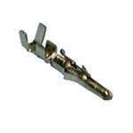 0.062" Male Crimp Pins For Plug (Molex) 25Pk
