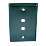SS WALL PLATE-(2) .375" ROUND A/V HOLE