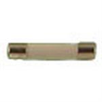 Ceramic Fuse 10A 1/4" x 1-1/4"