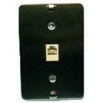Stainless Steel Wall Plate w/ 4 Conductor Modular Jack : TWP69