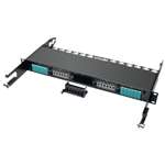 100Gb/120Gb Pass-Through Cassette - (x6) 24-Fiber MTP/MPO